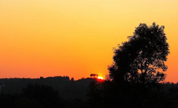 性爱改善健康的9大益处